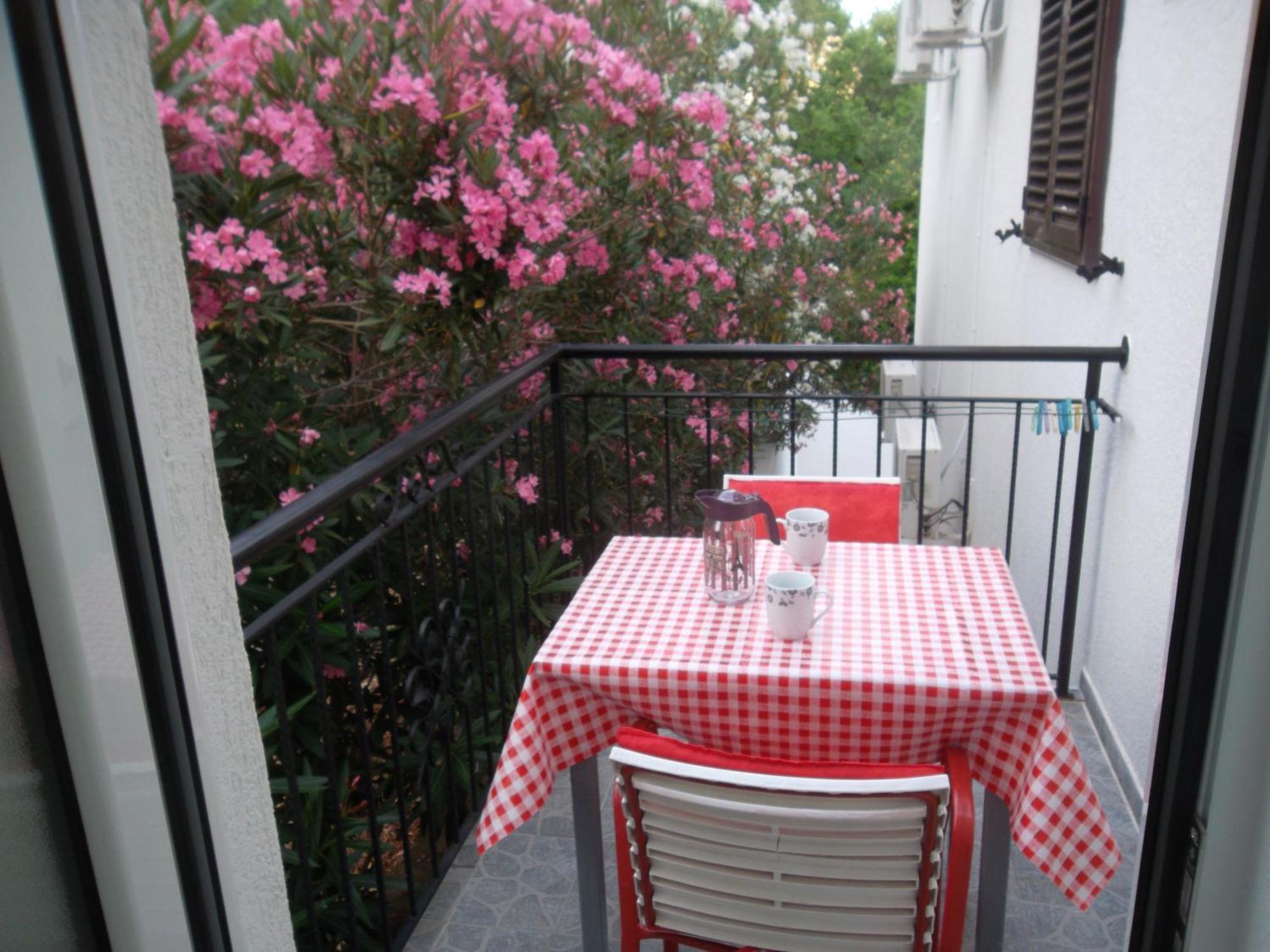 Guest House 4M Petrovac Cameră foto